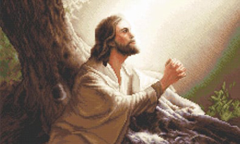 Bible Evidence 03