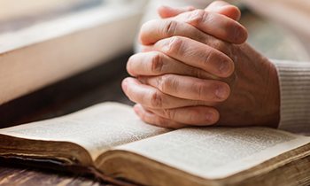 Bible homo 2019