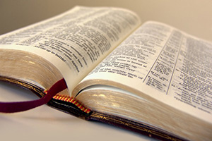 Bible preach Small