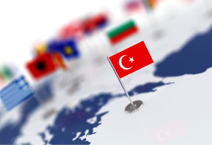 Erdogan 01 Small