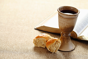 Wine Bible Small 01